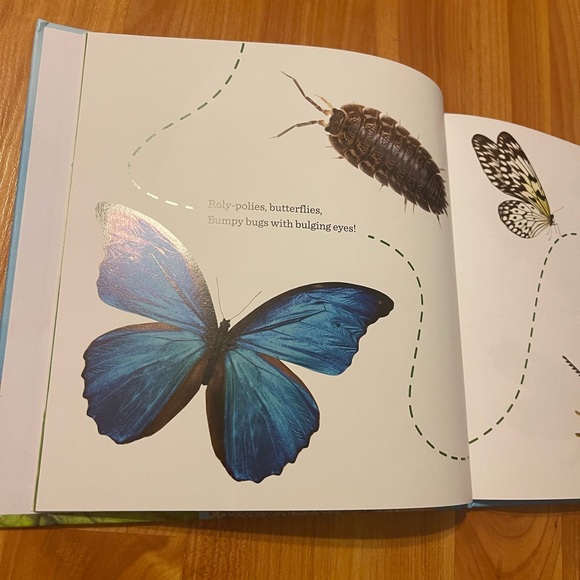 Kindergarten ABC Paperback & The Bug Book Hardcover Books - Picture 3 of 7